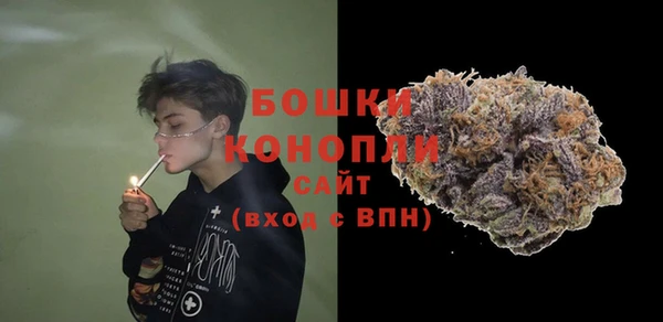 гидра Бронницы